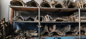 Dodge used control arms for sale